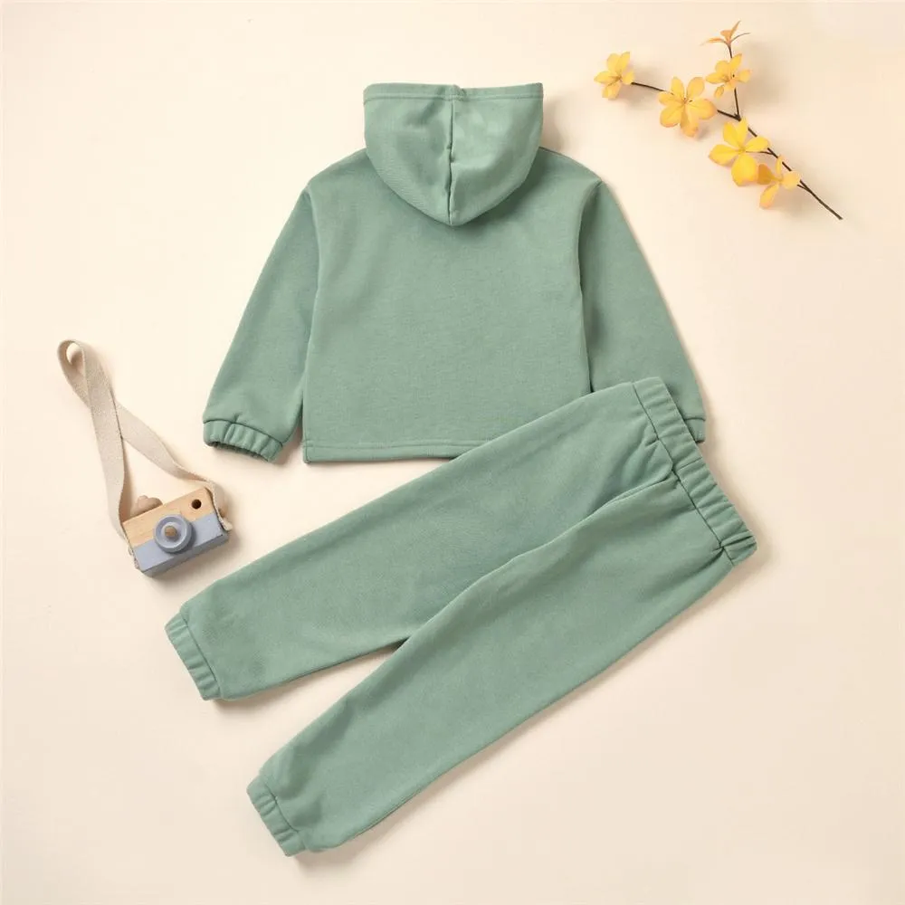 Girls Butterfly Flying Long Sleeve Hooded Top & Pants Baby Girl Boutique Clothing Wholesale