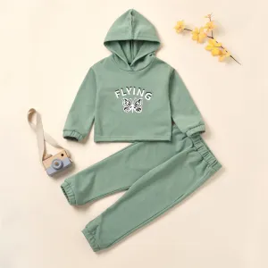 Girls Butterfly Flying Long Sleeve Hooded Top & Pants Baby Girl Boutique Clothing Wholesale