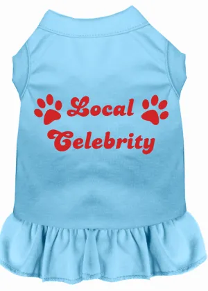 Local Celebrity Screen Print Dress Baby Blue Med