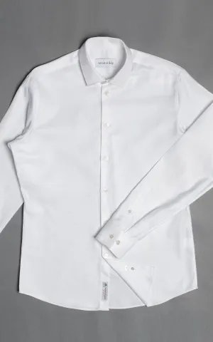 THE SHIRT copy